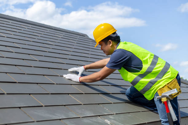 Best New Roof Installation  in Olive Hill, KY
