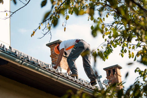 Best Commercial Roofing Services  in Olive Hill, KY
