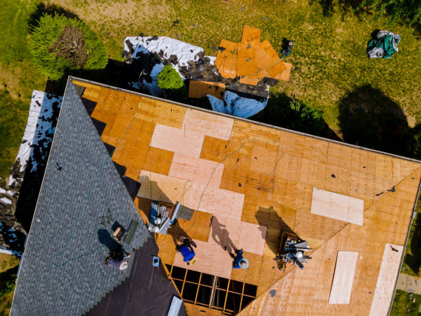 Best Gutter Installation and Roofing  in Olive Hill, KY