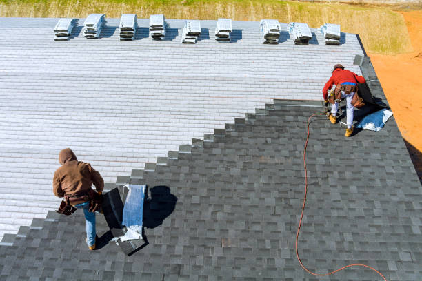 Best Roof Gutter Cleaning  in Olive Hill, KY