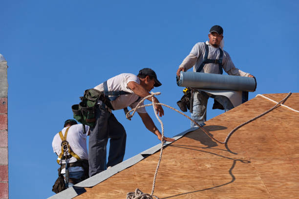Best Best Roofing Contractors  in Olive Hill, KY