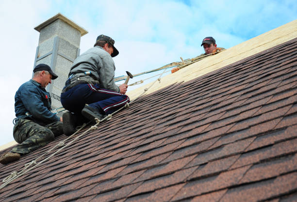 Best Commercial Roofing Services  in Olive Hill, KY