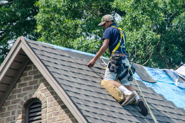 Roof Repair Estimates in Olive Hill, KY